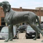 the-odyssey’s-crazed-translator-reminds-us-good-dogs-never-die
