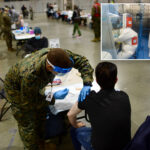 pentagon-asked-for-‘gain-of-function’-research-proposals-years-before-covid-19-pandemic,-top-virologist-tells-congress