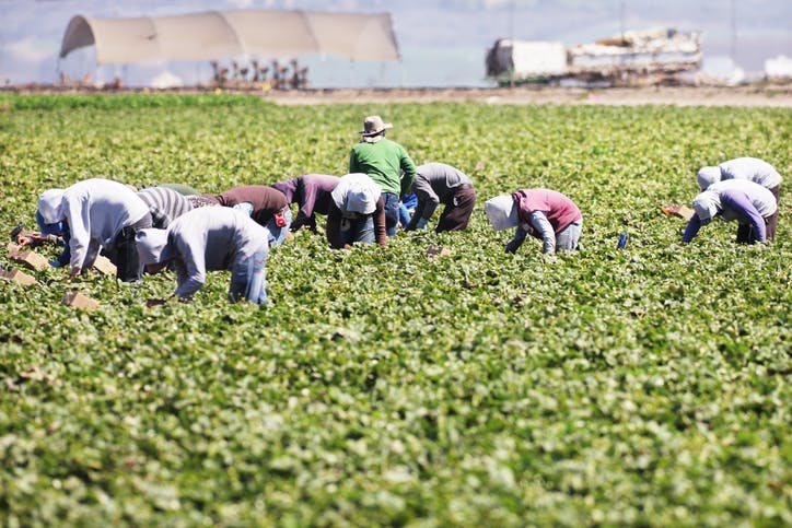 meet-the-republicans-running-for-re-election-on-amnesty