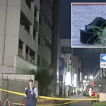 woman-crushed-to-death-by-man-who-landed-on-her-after-he-fell-from-12-story-building