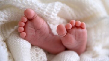 the-abortion-industry-wants-to-harvest-your-live-babies