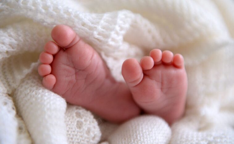 the-abortion-industry-wants-to-harvest-your-live-babies