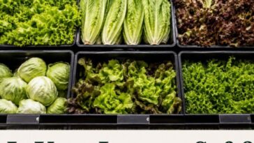 is-your-lettuce-safe-to-eat?-is-any-of-your-produce-safe?