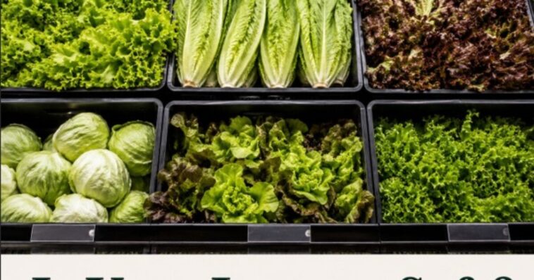 is-your-lettuce-safe-to-eat?-is-any-of-your-produce-safe?