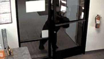 black-bear-caught-on-video-wandering-into-california-water-district-office-after-pushing-open-front-door