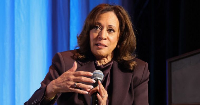former-biden-admin-official-roasts-kamala’s-2028-chances-on-fox-news:-‘she-follows’