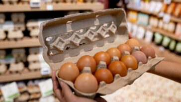 more-than-19-million-eggs-recalled-over-concerns-of-dangerous-contamination