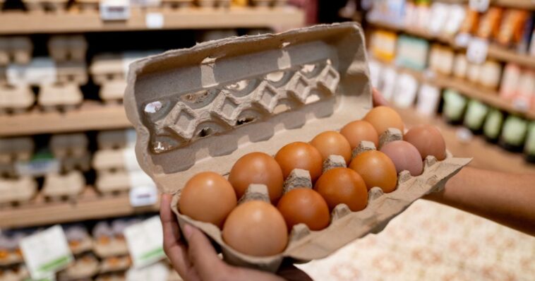 more-than-19-million-eggs-recalled-over-concerns-of-dangerous-contamination
