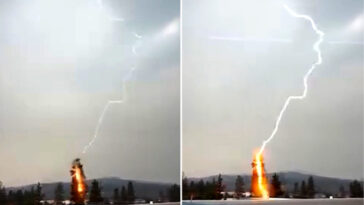 powerful-storm-sees-2,000-lightning-strikes-spark-35-wildfires-in-just-hours-on-west-coast