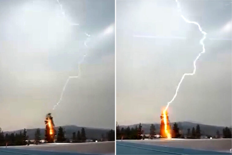 powerful-storm-sees-2,000-lightning-strikes-spark-35-wildfires-in-just-hours-on-west-coast