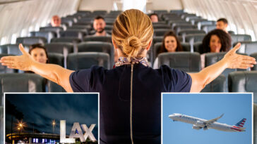 oppressive-new-ranking-for-flight-attendants-hits-turbulence-in-california