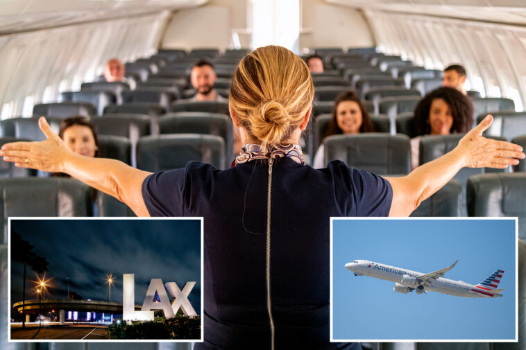 oppressive-new-ranking-for-flight-attendants-hits-turbulence-in-california