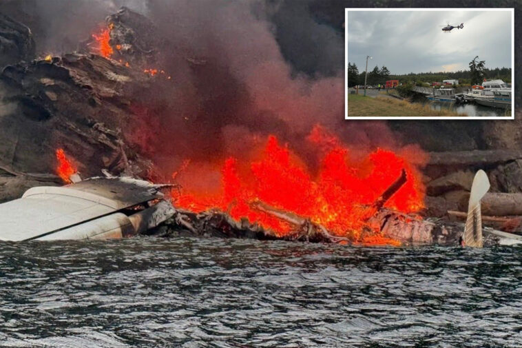 plane-with-11-on-board-bursts-into-flames-after-crash-landing-off-washington-island