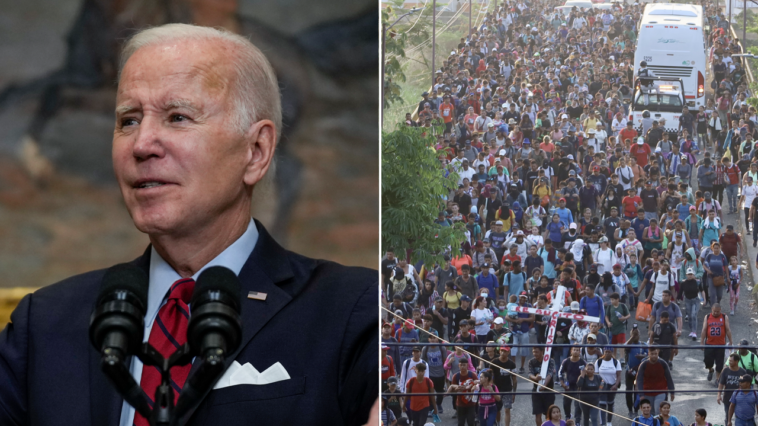 we-need-a-truth-commission-to-show-the-world-the-insanity-of-the-biden-border-crisis