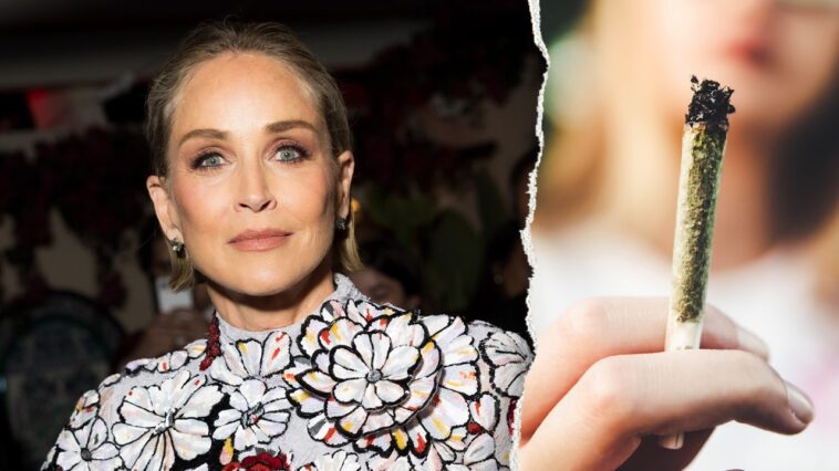 sharon-stone’s-terrifying-weed-withdrawal-sparks-warning-about-today’s-potent-marijuana