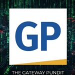 fyi:-the-gateway-pundit-is-currently-under-a-massive,-sophisticated-ddos-attack-—-the-largest-and-most-persistent-assault-in-our-history