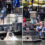disneyland-employee-shocks-guests,-plunges-into-rivers-of-america-in-bizarre-act