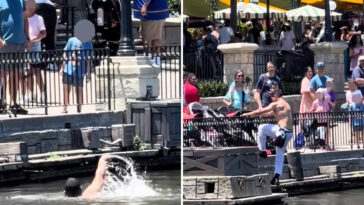 disneyland-employee-shocks-guests,-plunges-into-rivers-of-america-in-bizarre-act