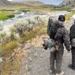 urgent-yellowstone-fishing-closures-hit-3-rivers-as-water-turns-deadly