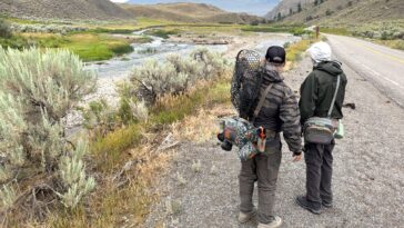 urgent-yellowstone-fishing-closures-hit-3-rivers-as-water-turns-deadly
