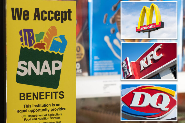 taxpayer-funded-snap-food-program-for-low-income-americans-spent-$524m-at-fast-food-chains:-‘the-“n”-in-snap-stands-for-“nutrition”-…-not-nuggets’