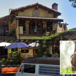 health-officials-issue-dire-warning-to-unsuspecting-restaurant-guests-possibly-exposed-to-rabies