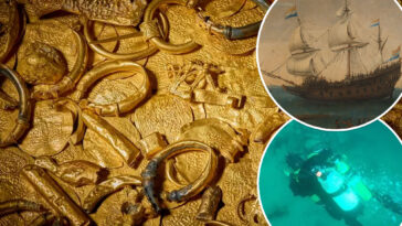 mystery-of-gold-coin-shipwreck-finally-unmasked-after-30-years:-‘fantastic-conclusion’
