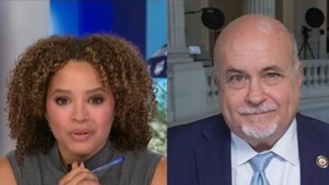 ms-now’s-hylton, dem-rep.-pocan:-prosecuting-for-shooting-officer-is-going-after-‘protesters’,-like-cuba