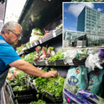 parsley-and-cilantro-also-now-linked-to-cyclospora-outbreak-in-north-carolina-—-but-not-taco-bell
