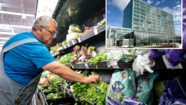 parsley-and-cilantro-also-now-linked-to-cyclospora-outbreak-in-north-carolina-—-but-not-taco-bell