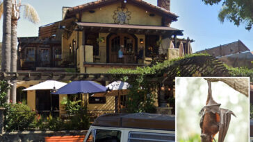 health-officials-issue-dire-warning-to-unsuspecting-restaurant-guests-possibly-exposed-to-rabies