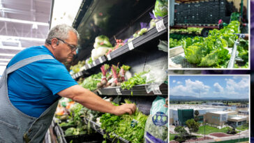 ‘diarrhea-parasite’-explodes-across-america-as-cyclospora-outbreak-spreads-to-four-more-states