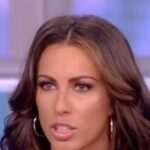 alyssa-farah-griffin:-save-america-act-would-‘disenfranchise-more-republicans’