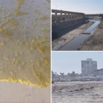 stomach-churning-video-shows-raw-sewage-on-socal-beach-as-tijuana-river-crisis-worsens