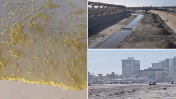 stomach-churning-video-shows-raw-sewage-on-socal-beach-as-tijuana-river-crisis-worsens