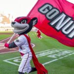 minor-league-baseball-team’s-fireworks-go-awry-and-send-fans-scrambling-for-cover-in-viral-video