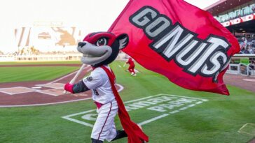 minor-league-baseball-team’s-fireworks-go-awry-and-send-fans-scrambling-for-cover-in-viral-video