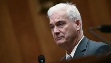 republican-lawmakers-demand-action-after-somali-gangs-open-fire-in-minnesota-park