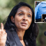 nithya-raman-touts-district-homeless-drop,-ducks-blame-for-la-surge