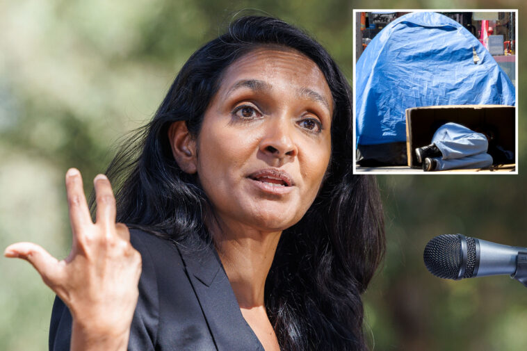 nithya-raman-touts-district-homeless-drop,-ducks-blame-for-la-surge
