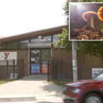 kids-found-in-‘zombie’-state-after-munching-on-mushroom-laced-edibles-at-new-jersey-summer-camp