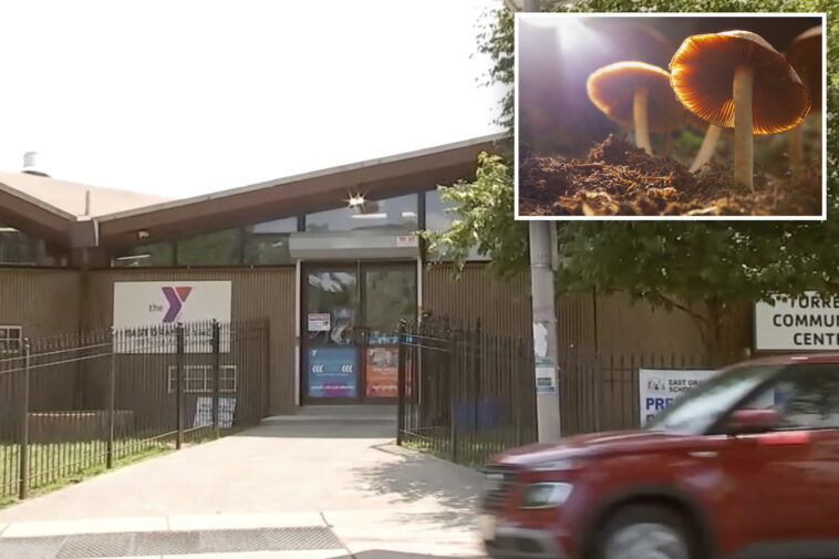 kids-found-in-‘zombie’-state-after-munching-on-mushroom-laced-edibles-at-new-jersey-summer-camp