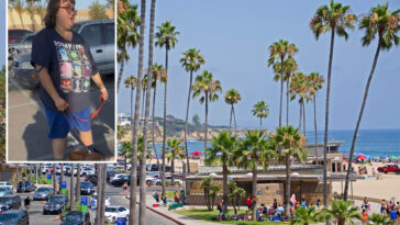 california-woman-accused-of-running-fake-animal-rescue-and-leaving-dogs-to-die-in-hot-car-freed-without-bail