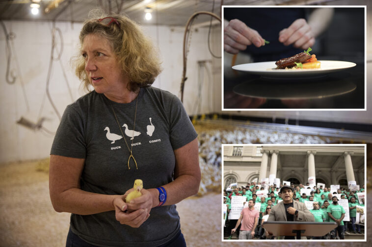 nyc’s-foie-gras-sales-ban-set-for-final-appeal-as-farmers-look-to-save-their-feathers