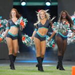 dolphins-cheerleaders-reveal-new-uniforms-as-rivalry-with-cowboys-ramps-up,-romo-dui-memes-&-vrabel’s-puppy