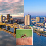 top-10-worst-states-for-battling-mosquitoes-thanks-to-heat-and-humidity