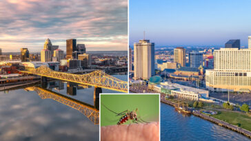 top-10-worst-states-for-battling-mosquitoes-thanks-to-heat-and-humidity