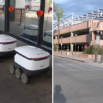 arizona-woman-sues-after-food-delivery-robot-attack