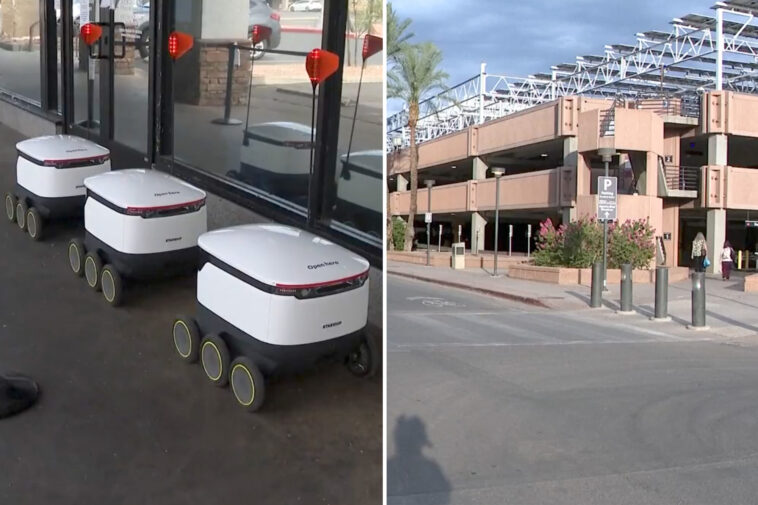 arizona-woman-sues-after-food-delivery-robot-attack