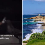 shocking-video-shows-heartless-punk-unleash-flurry-of-kicks-at-sea-lion-on-socal-beach